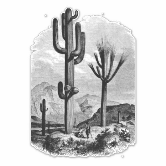 Woestijnlandschapscactus  inkttekening sticker (Voorkant)