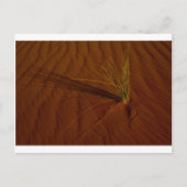 Woestijnleven Briefkaart (Voorkant)