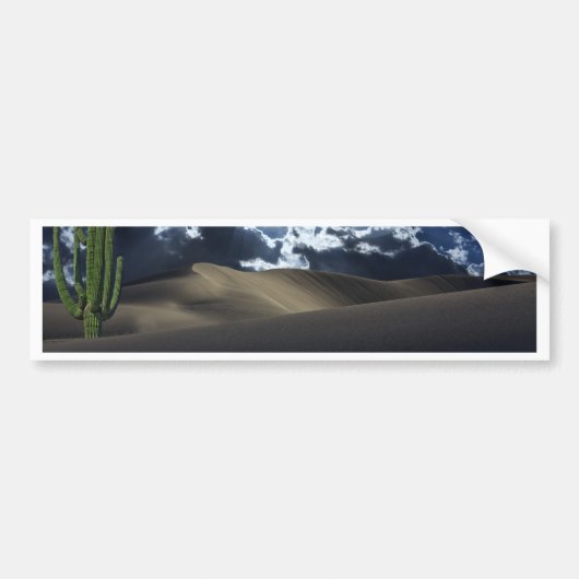 Woestijnmaan Bumpersticker (Voorkant)