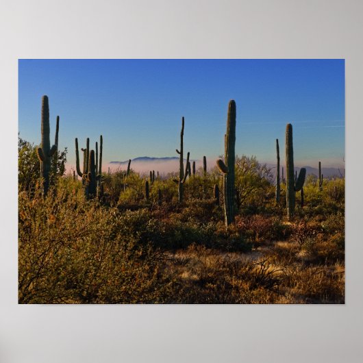 woestijnmorgen poster (Voorkant)