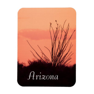 woestijnnachten in Arizona Magneet