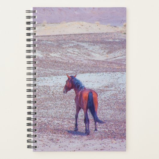 Woestijnpaarden P8640 Planner (Voorkant)