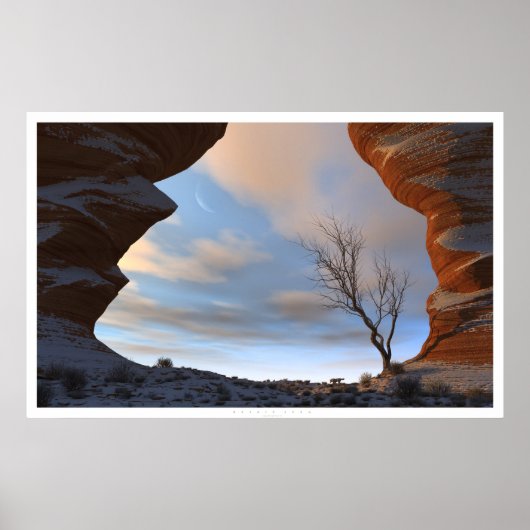 Woestijnsneeuw Poster (Voorkant)