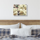 Woestijnstraling Cholla Cactus Foto Canvas Afdruk (Insitu (Slaapkamer))