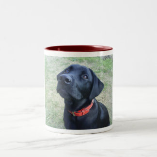 Wof Bark! Tweekleurige Koffiemok
