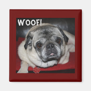 Wof, Pug Magnet Magneet