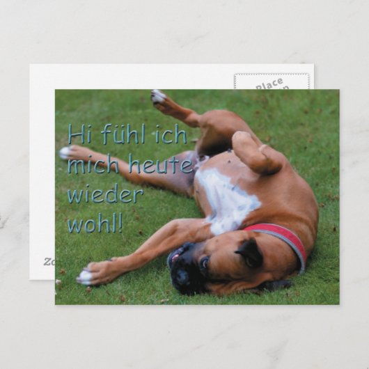 Wohlfühlboxer Briefkaart (Voorkant / Achterkant)