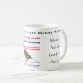 Wolbachia Culex Bulbuls Mok van RoseWrites (Voorkant rechts)