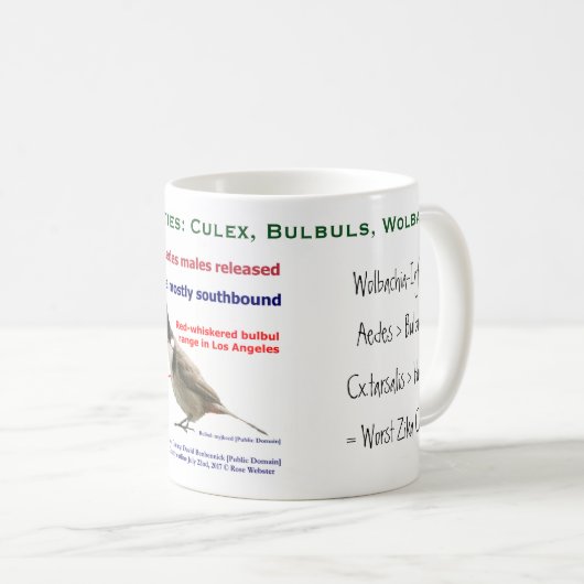 Wolbachia Culex Bulbuls Mok van RoseWrites (Voorkant rechts)