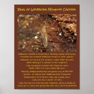 Wolbachia Mosquito: Risico's van controle door Ros Poster