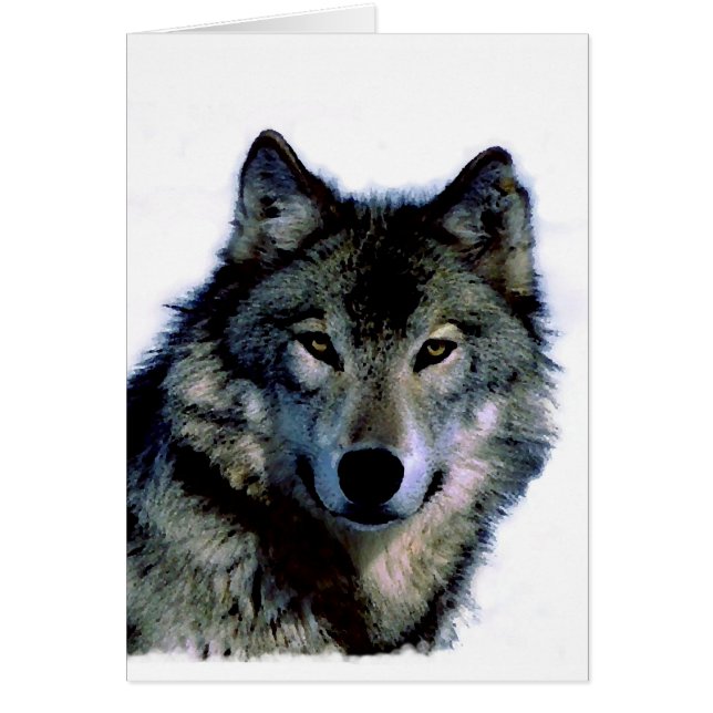 Wolf (Voorkant)