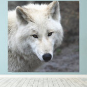 Wolf_015 Canvas Afdruk (Insitu (Houten vloer))