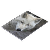 Wolf 015 notitieboek (Linkerzijde)