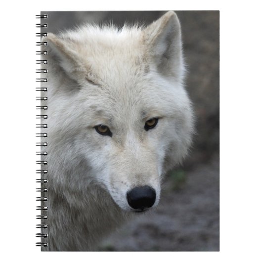 Wolf 015 notitieboek (Voorkant)