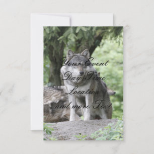 Wolf 14AJ Kaart