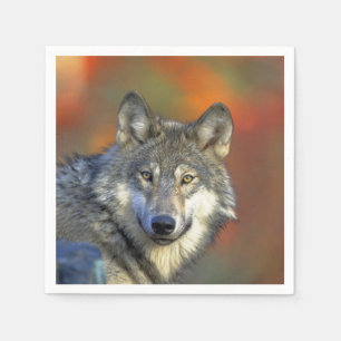 Wolf_2015_0301 Servetten