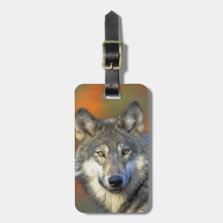 Wolf_2015_0302 Bagagelabel