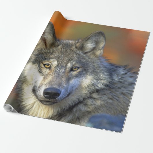 Wolf_2015_0302 Cadeaupapier (Uitgerold)