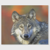 Wolf_2015_0302 Cadeaupapier (Vlak)