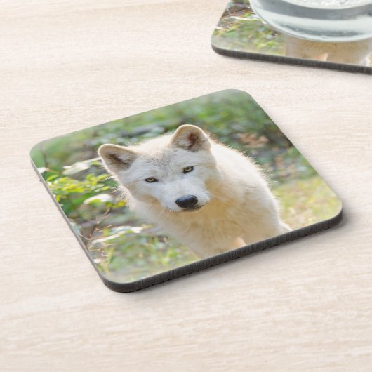 Wolf Animal Art, Canadese Wildlife Bier Onderzetter (Linkerzijde)