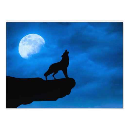 Wolf at Night Foto Afdruk (Voorkant)