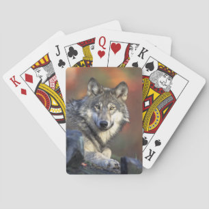 Wolf Bicycle-speelkaarten Pokerkaarten