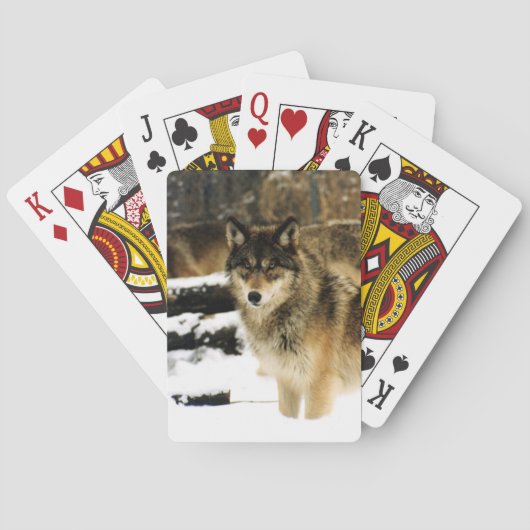 Wolf Bicycle-speelkaarten Pokerkaarten (Achterkant)