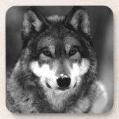 Wolf Bier Onderzetter (Voorkant)