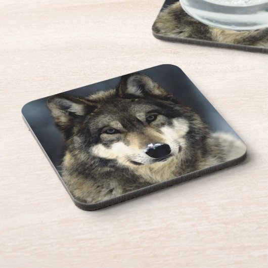 Wolf Bier Onderzetter (Linkerzijde)