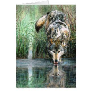 Wolf blanco kaart