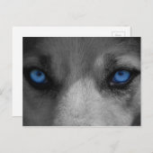 Wolf Blue Eyes Gothic Fantasy Briefkaart (Voorkant / Achterkant)
