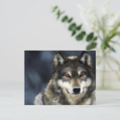 wolf briefkaart (Staand voorkant)