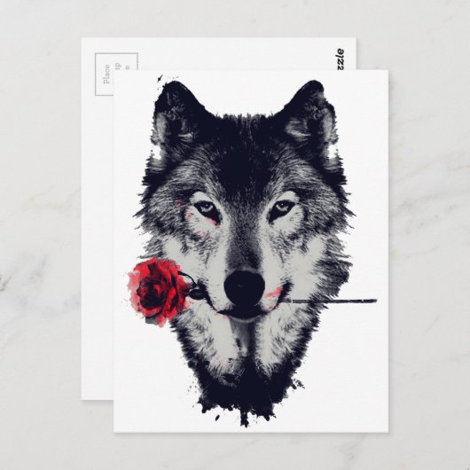 Wolf Briefkaart (Voorkant / Achterkant)