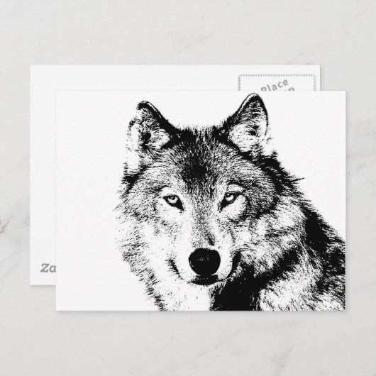 Wolf Briefkaart (Voorkant / Achterkant)