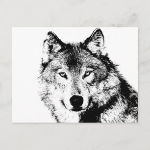Wolf Briefkaart