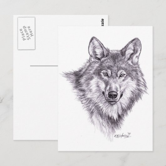 wolf briefkaart (Voorkant / Achterkant)