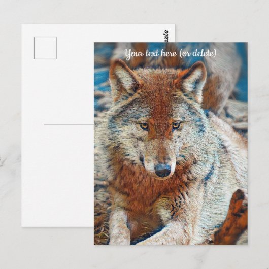 Wolf Briefkaart (Voorkant / Achterkant)