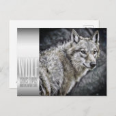 Wolf (Briefkaart) Briefkaart (Voorkant / Achterkant)