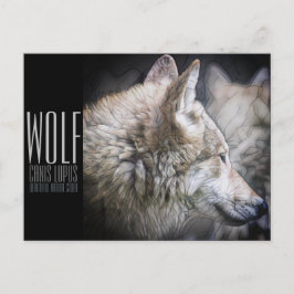 Wolf (Briefkaart) Briefkaart