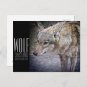 Wolf (Briefkaart) Briefkaart (Voorkant / Achterkant)