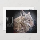 Wolf (Briefkaart) Briefkaart (Voorkant / Achterkant)