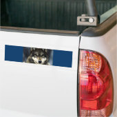 Wolf Bumpersticker (Op Truck)