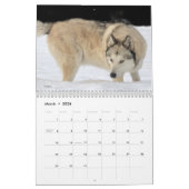 Wolf Calendar Kalender (Mar 2026)