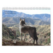 Wolf Calendar Kalender (Hoes)