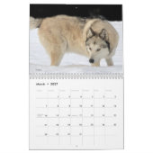 Wolf Calendar Kalender (Mar 2027)