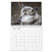 Wolf Calendar Kalender (Mar 2026)