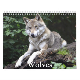 Wolf Calendar Kalender