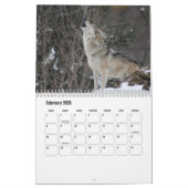 Wolf Calendar Kalender (Feb 2026)