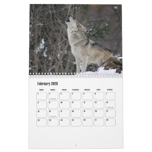Wolf Calendar Kalender (Feb 2026)