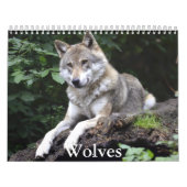 Wolf Calendar Kalender (Hoes)